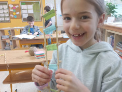 Žebříček hodnot Ema