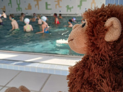 hdimg98462dbb0381fb6f87e35c563d0797