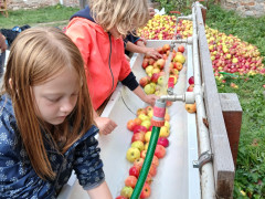 hdimg9bc28862df61935a263bfdf2afe9e9