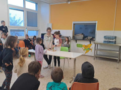 464902909_598566942636248_8959901710559422358_n