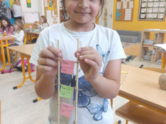 Žebříček hodnot Ami