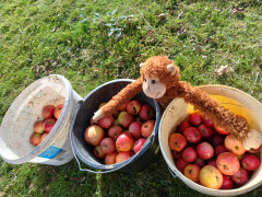 hdimg6a1d67f8eaeb898e323277a06d8e20