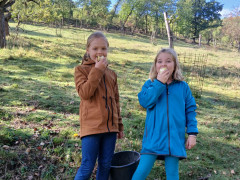 hdimg1433cb7646de0d6ad2931e557e1984