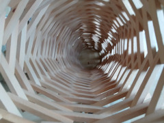 WhatsApp Image 2024-10-22 at 19.59.57