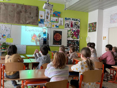 CDB8B46A-82E8-4063-A769-30D16087A1C9