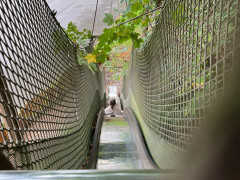 hdimg4ffb93bff56941cac2ef0c38616547