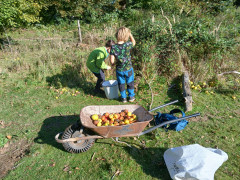 hdimg016725da5e724d23510dd48bd7edf7