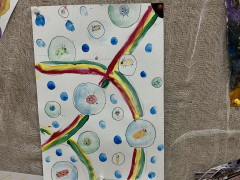 480800908_3557713754533306_2421871309595025699_n