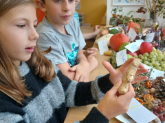 hdimgdf89da386a445eb3d43d328b999370